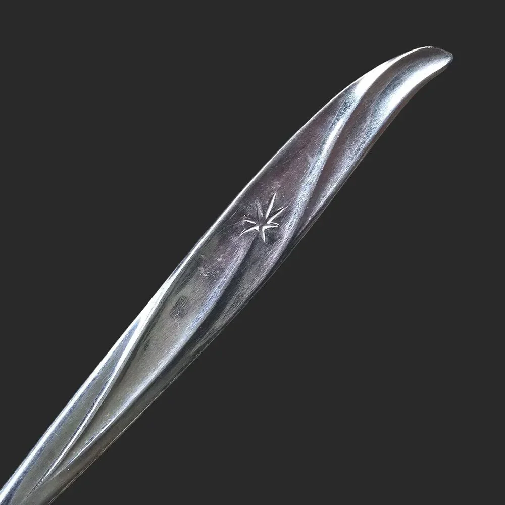 Vintage CG12 Stainless Steel Star Design Tablespoon By CG FLATWARE Japan Discon.